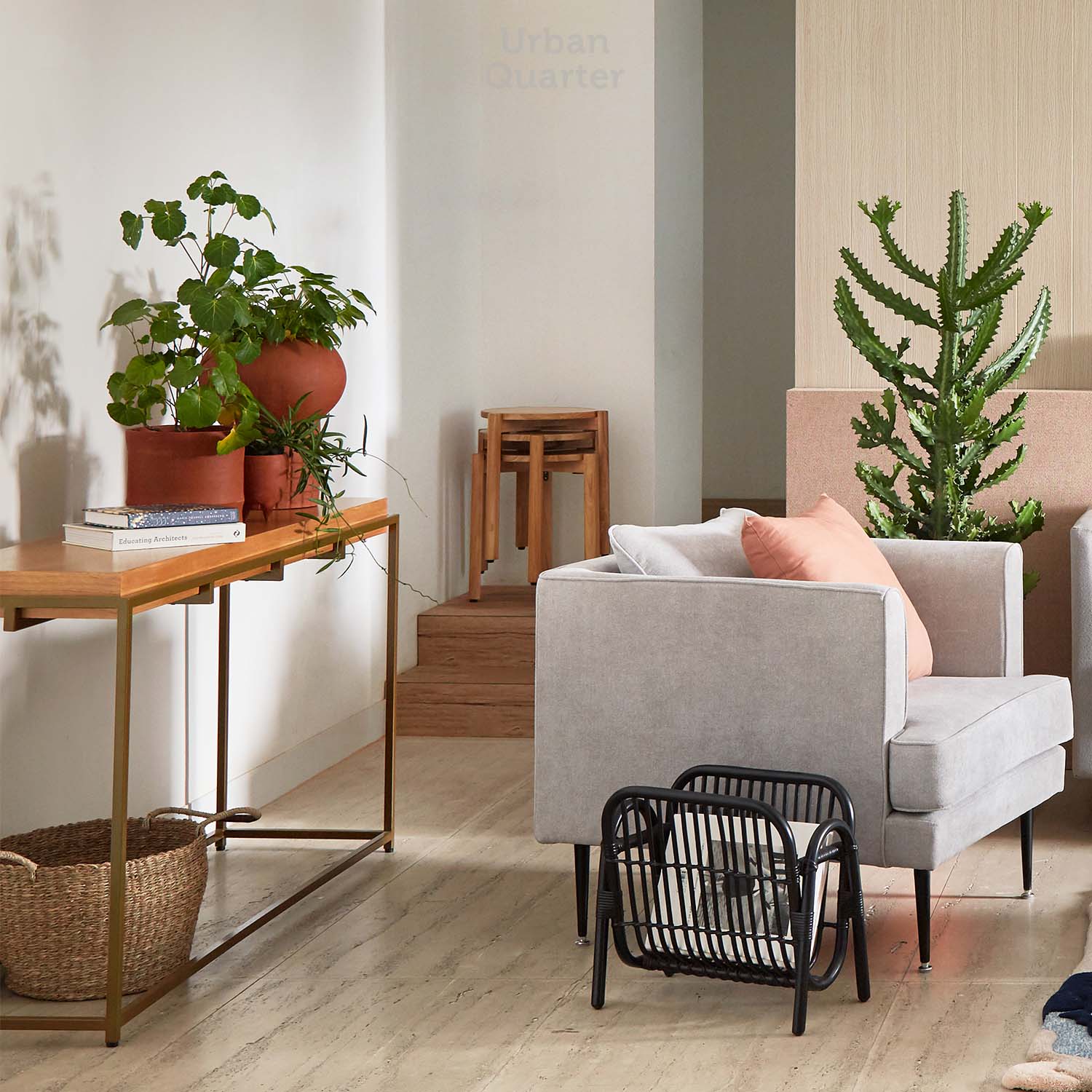 210602_UQ_colony62708(01)