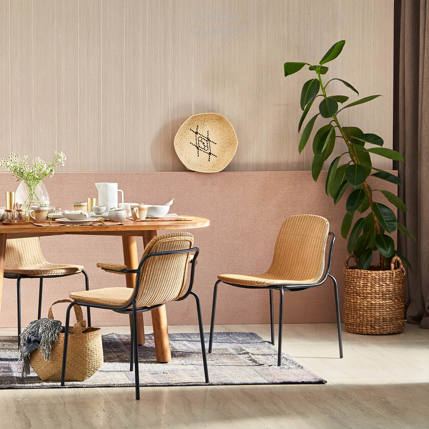 210602_UQ_colony62802(02)