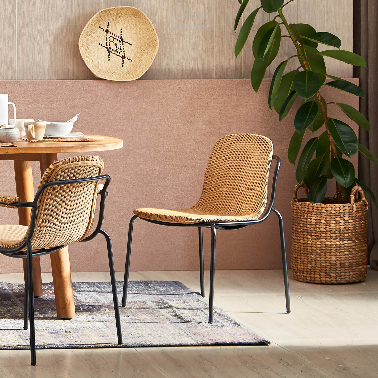 210602_UQ_colony62802(05)