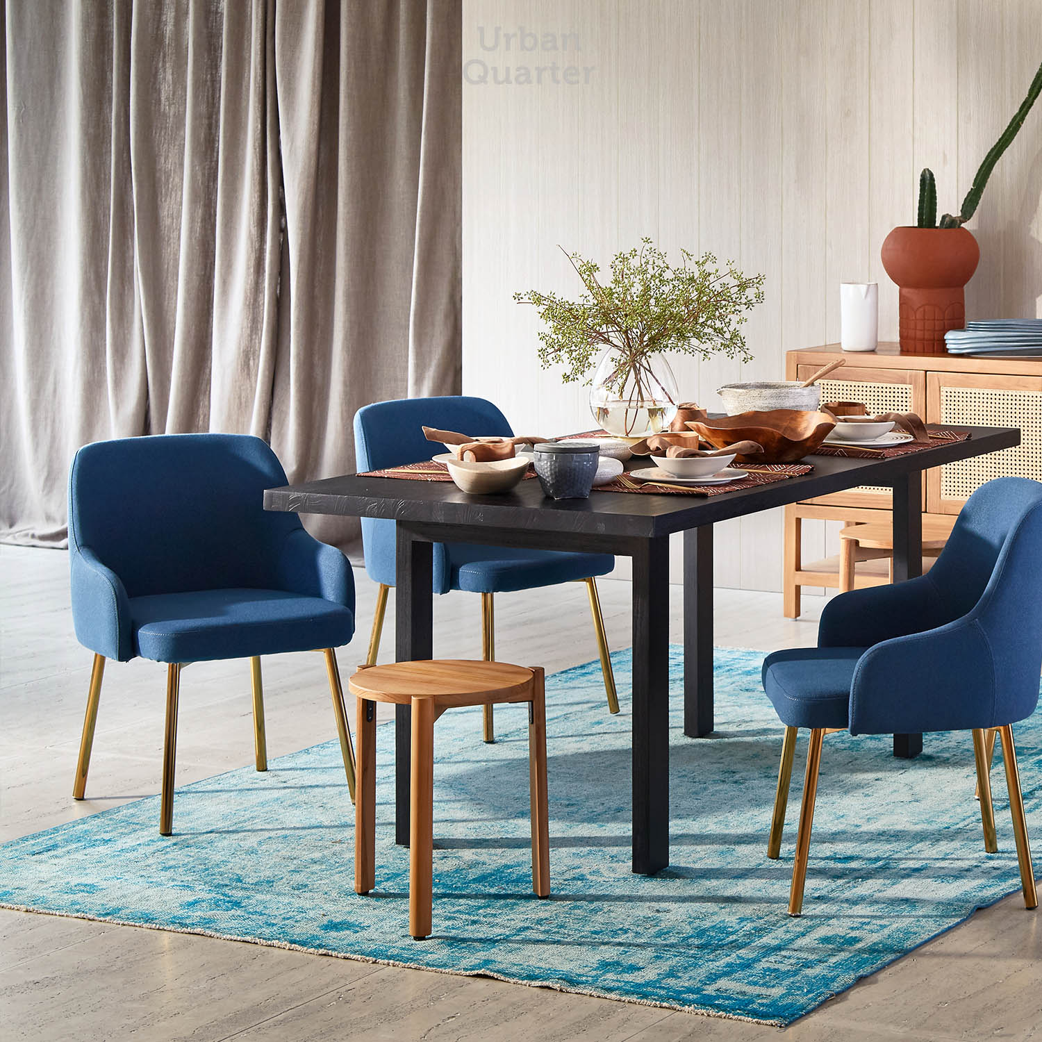 210602_UQ_colony62993