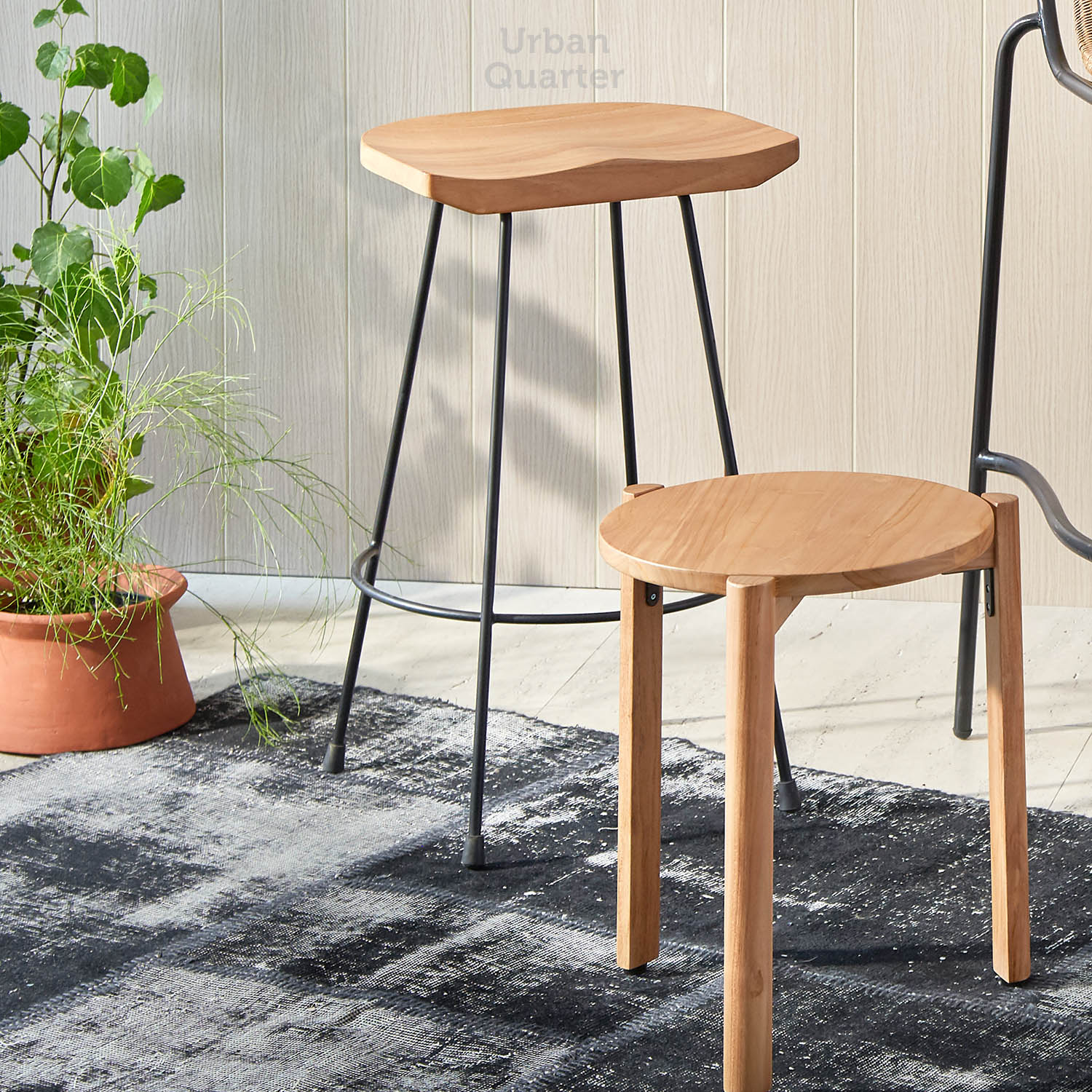 210602_UQ_colony63020(03)