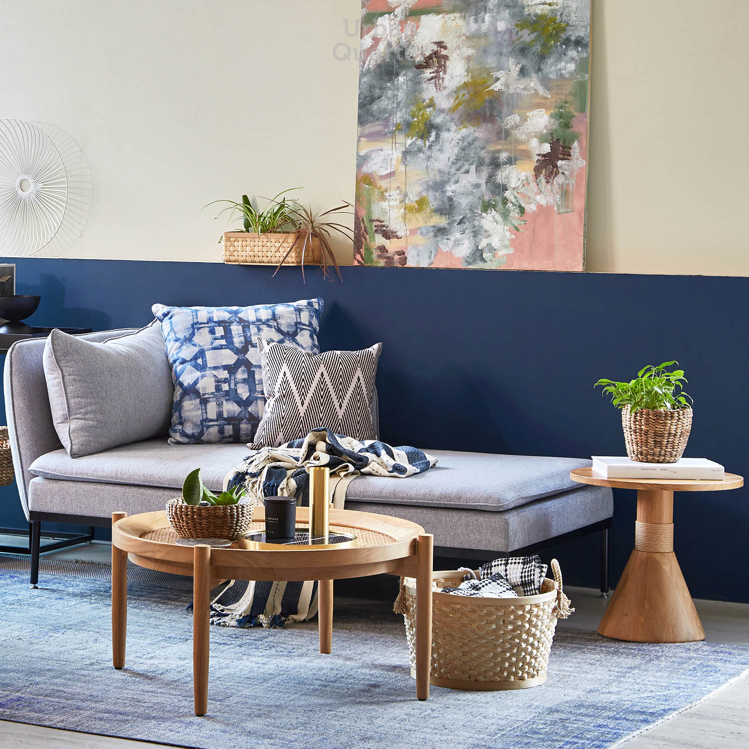 210602_UQ_colony63079(01)