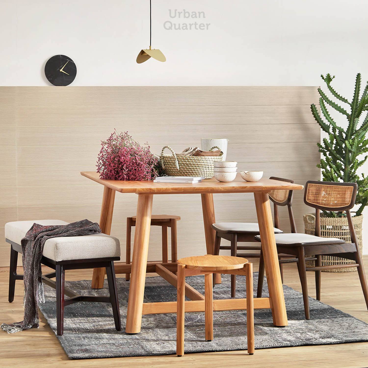 210602_UQ_colony63165(01) (1)