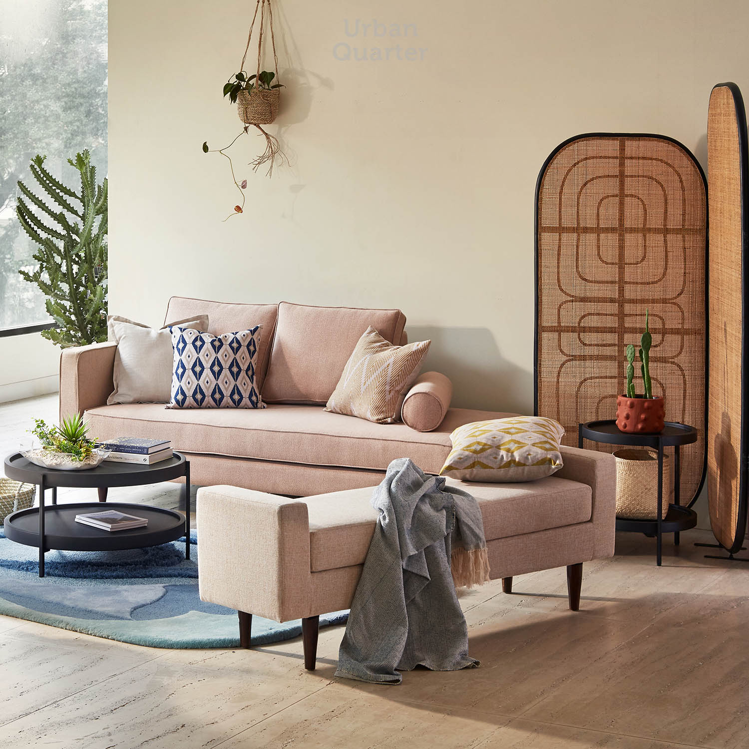 210602_UQ_colony62877(02)