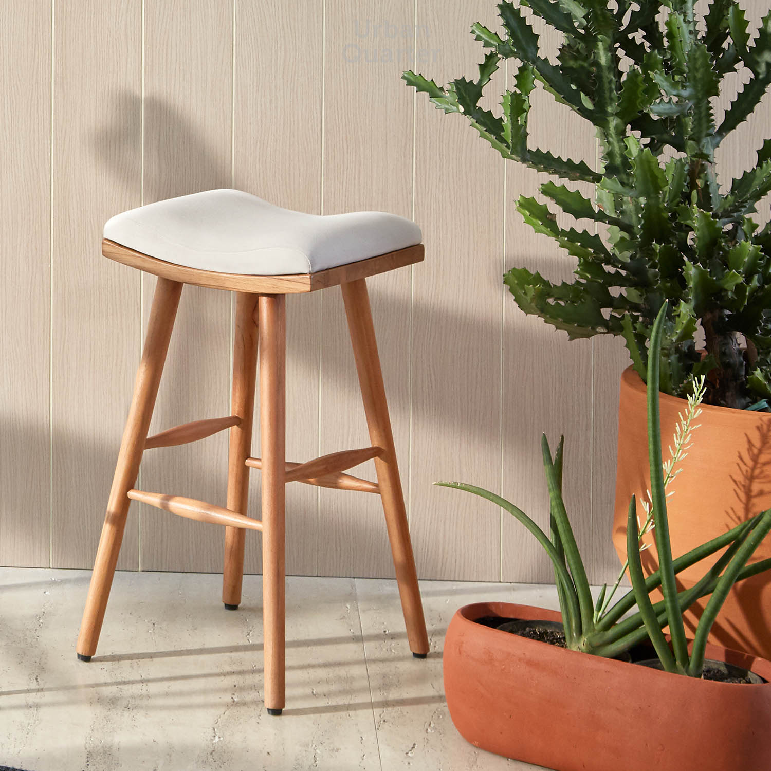 210602_UQ_colony63020(04)