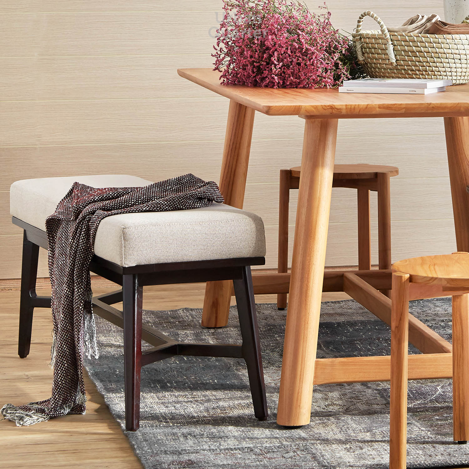 210602_UQ_colony63165(04)