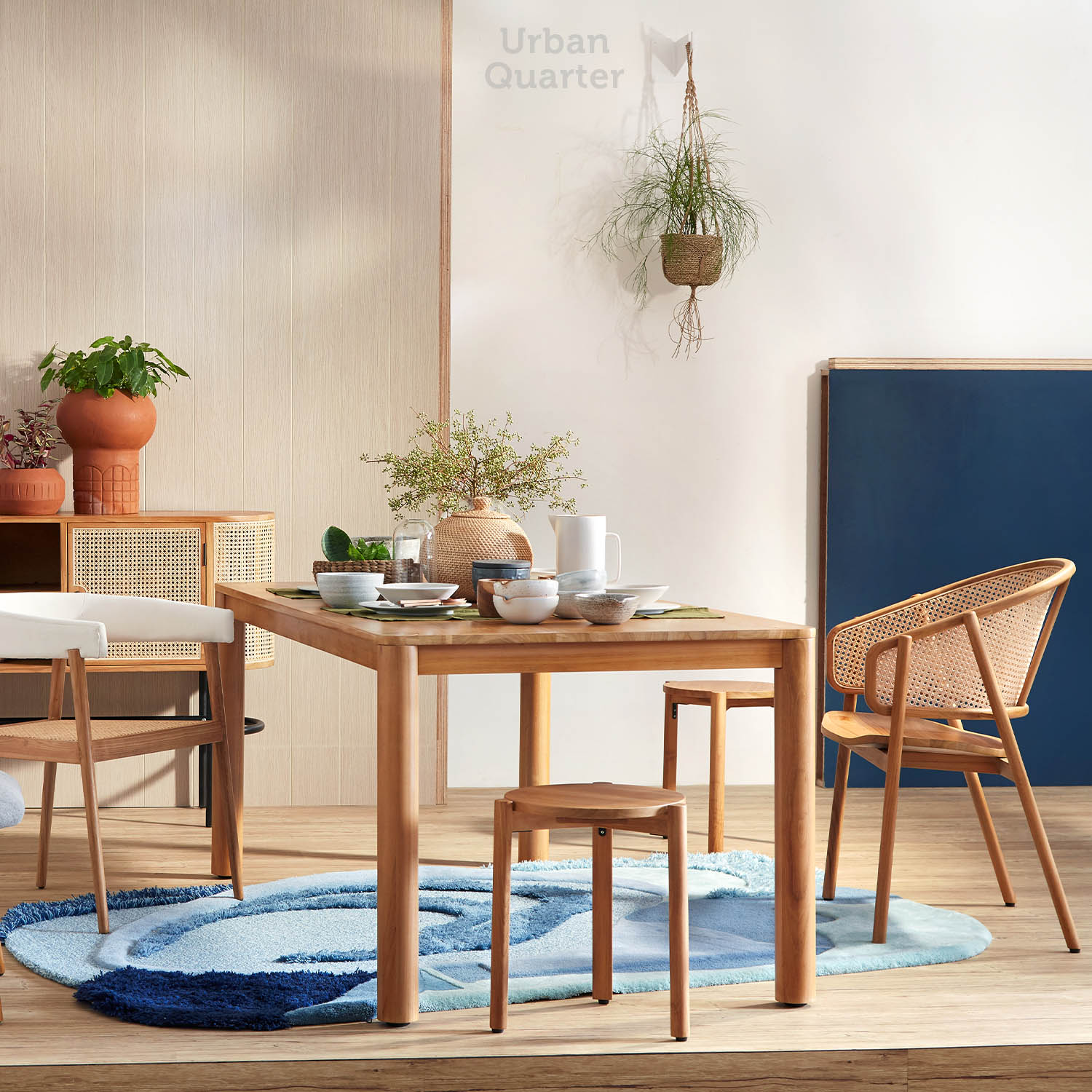 210602_UQ_colony63309(01)