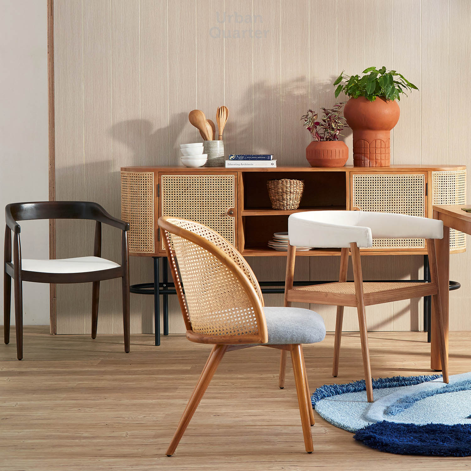 210602_UQ_colony63309(02)