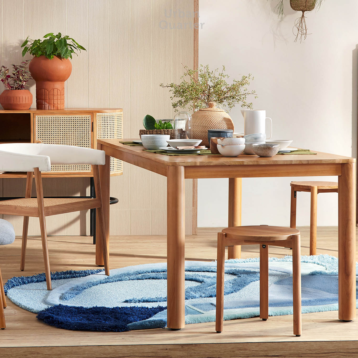 210602_UQ_colony63309(03)