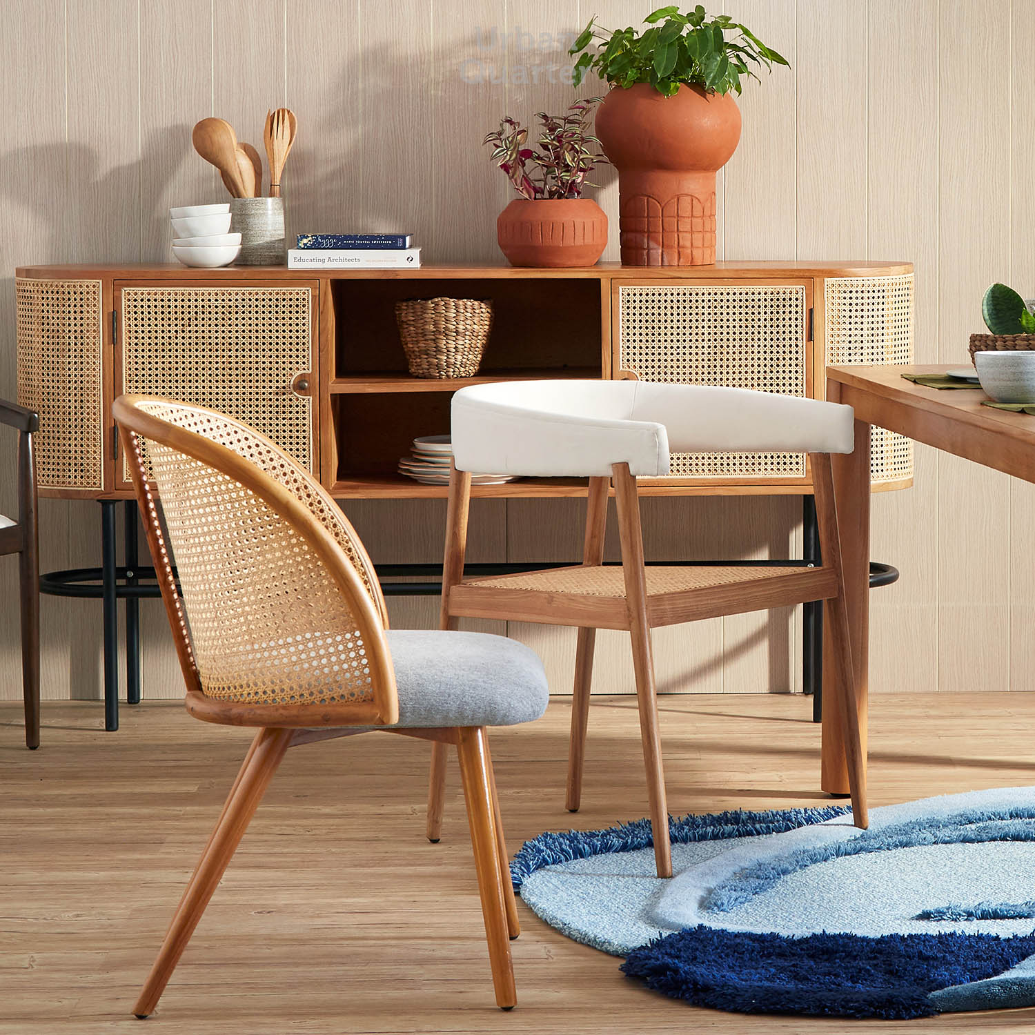 210602_UQ_colony63309(04)