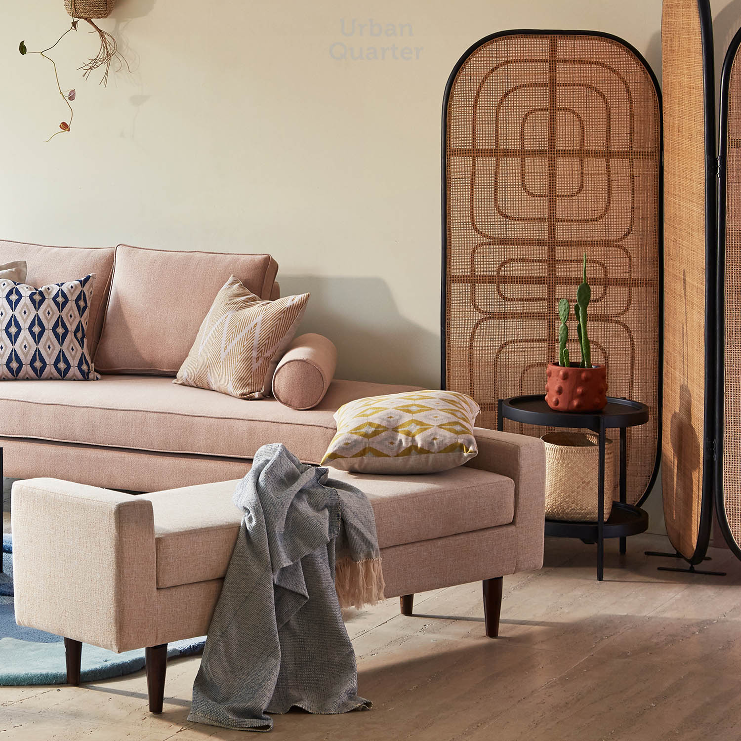 210602_UQ_colony62877(05)