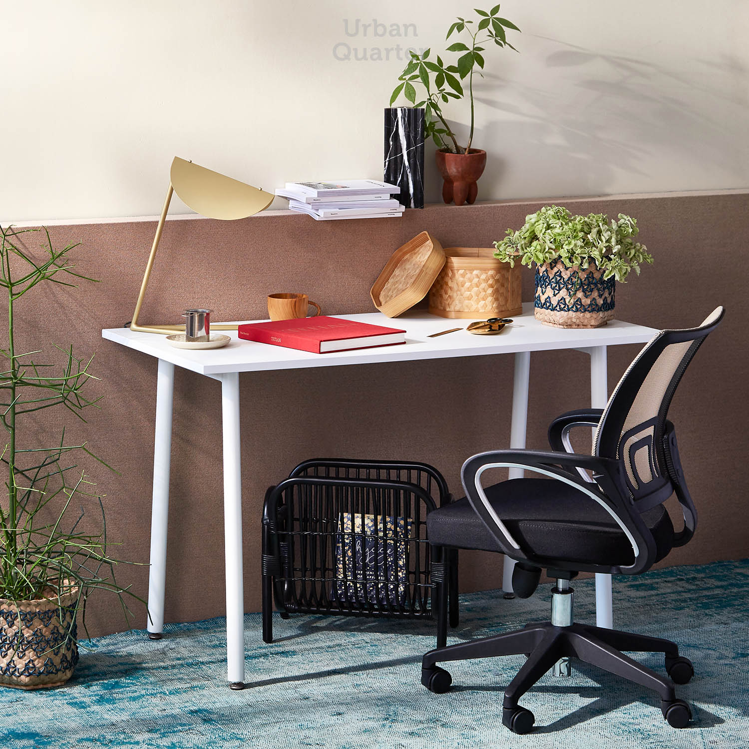 210602_UQ_colony63123(01)