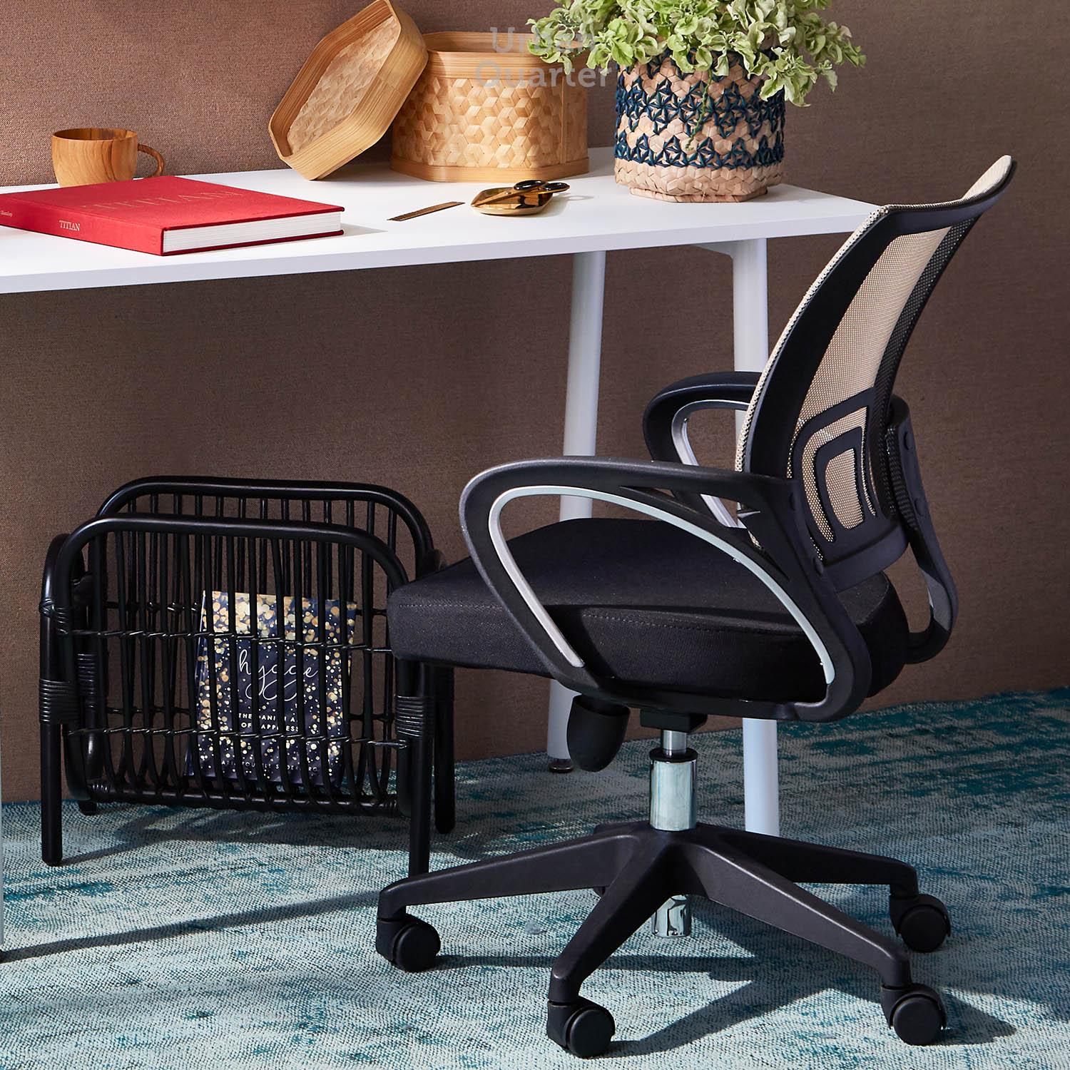 210602_UQ_colony63123(02)