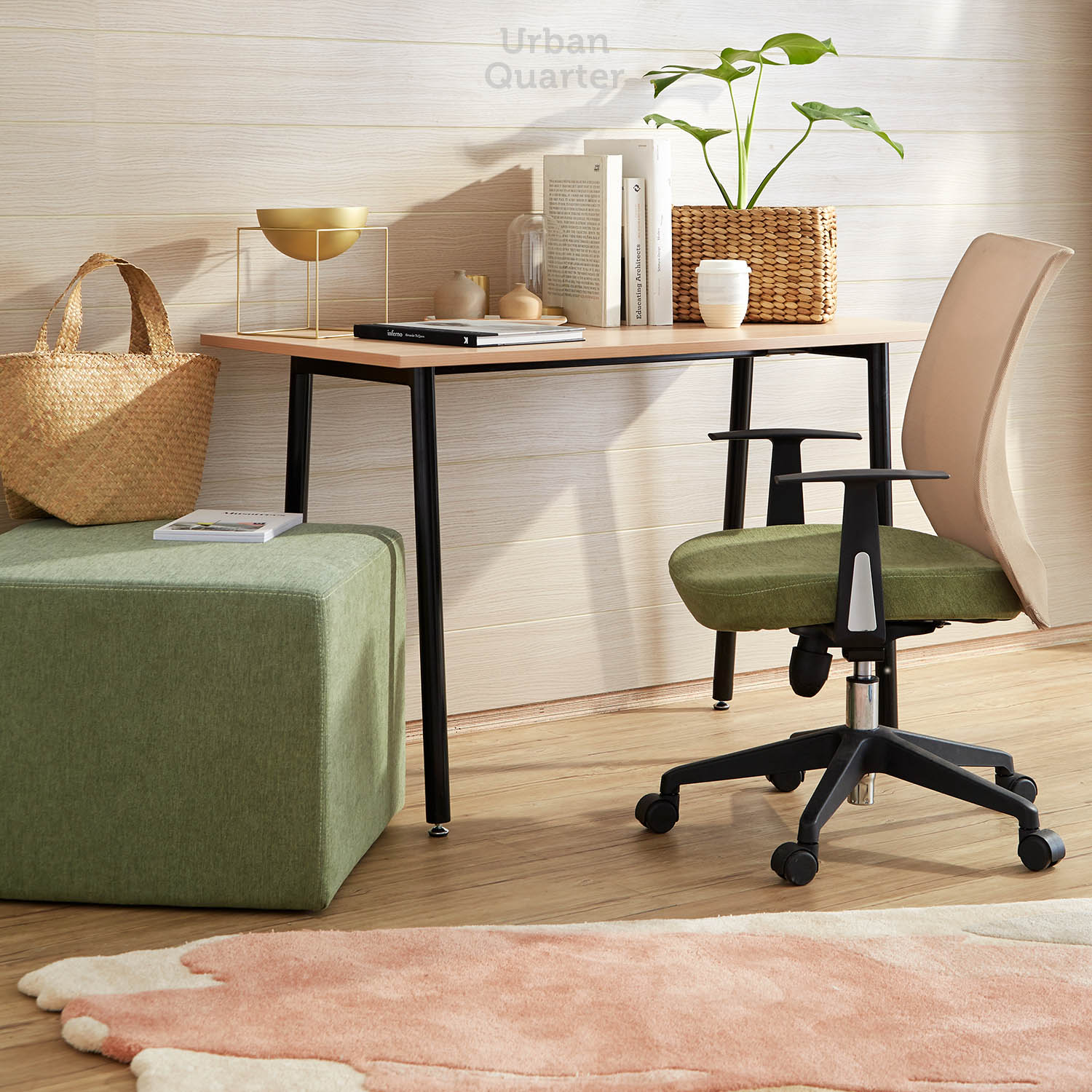 210602_UQ_colony63206(01)