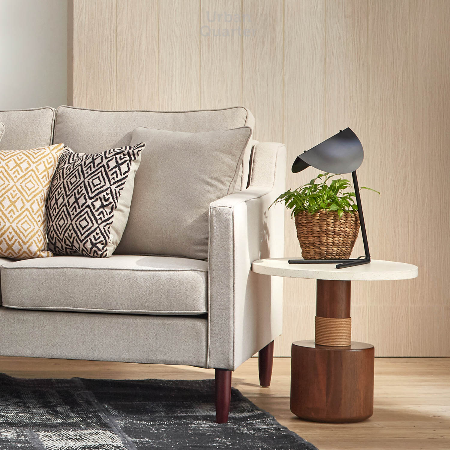 210602_UQ_colony63254(5)