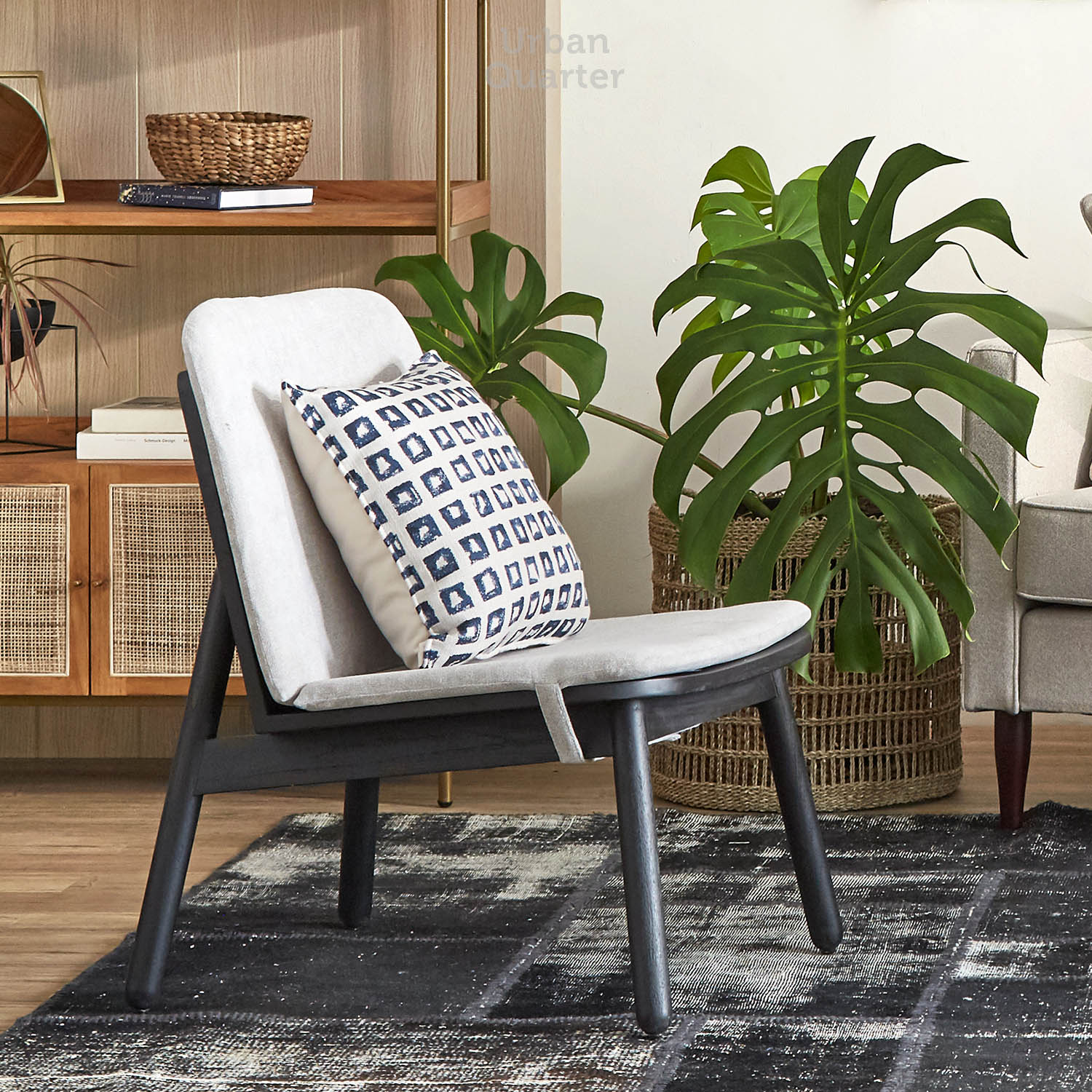 210602_UQ_colony63254(6)