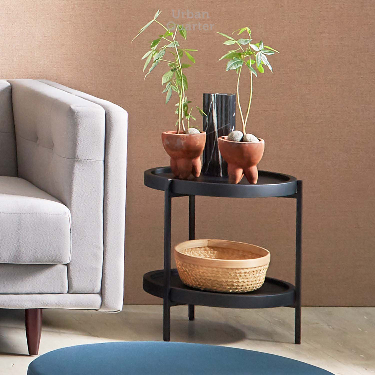 210602_UQ_colony62708(EDIT)01