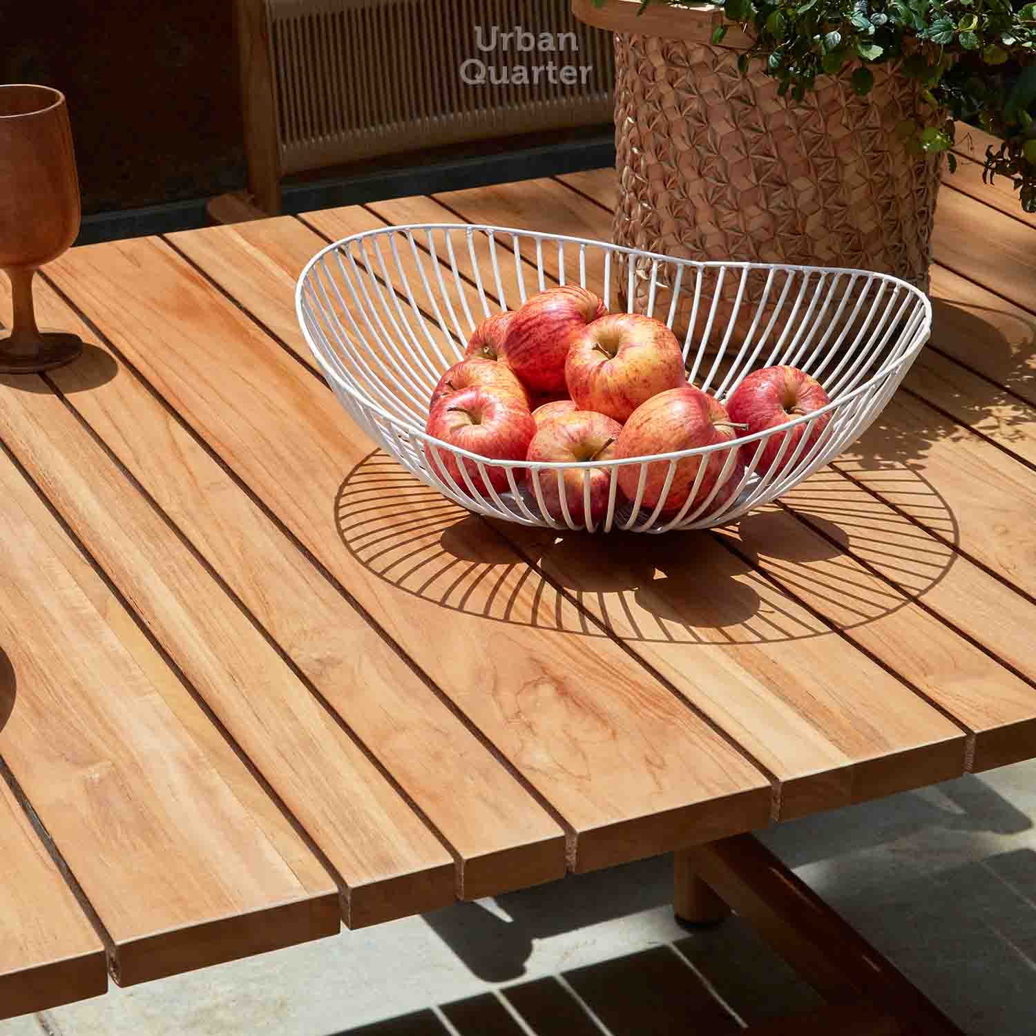 211115_UQ_gautama__MG_0409(01