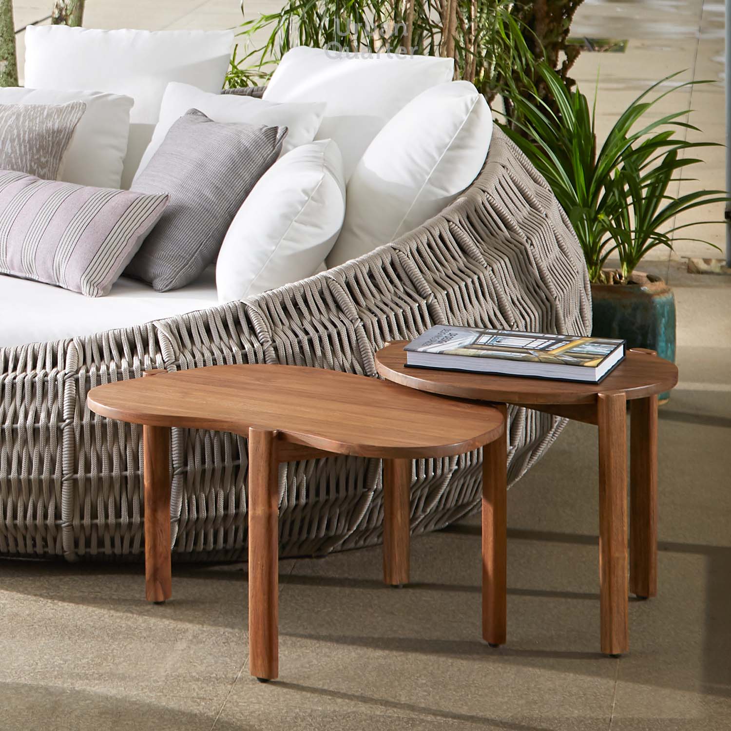 211115_UQ_gautama71388-E02