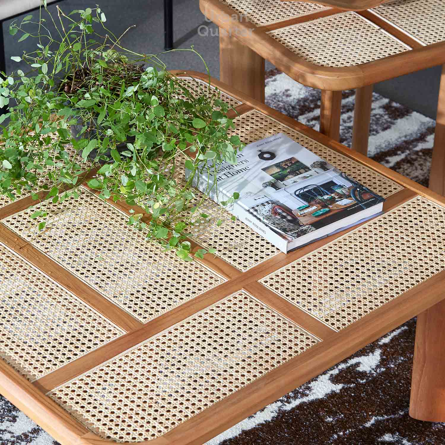 211115_UQ_gautama72794