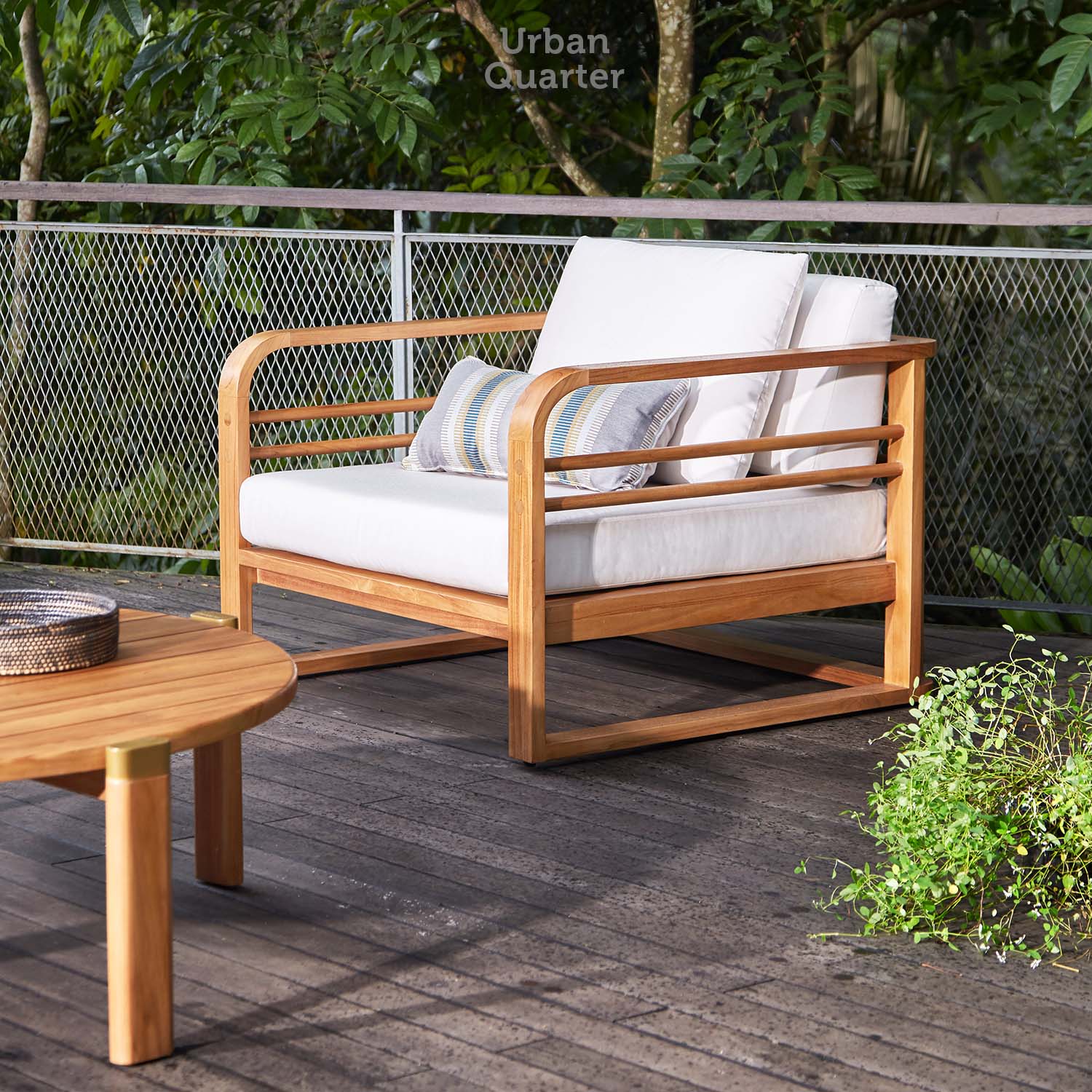 211115_UQ_gautama__MG_0257(01)